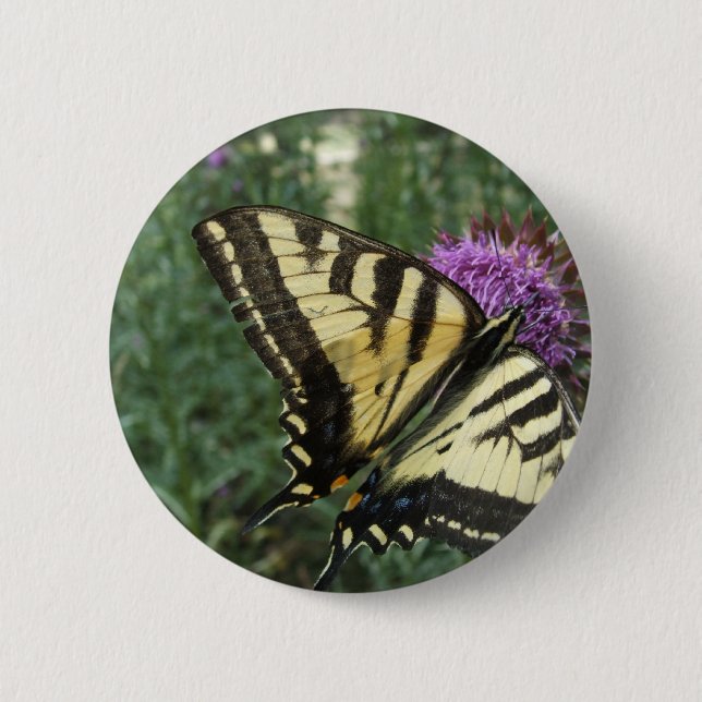 Western Tiger Swallowtail Butterfly 6 Cm Round Badge (Front)