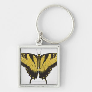 Western Tiger Swallowtail Butterfly Key Ring