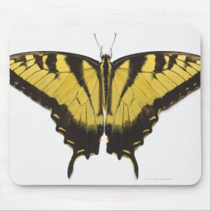 Western Tiger Swallowtail Butterfly Mouse Mat