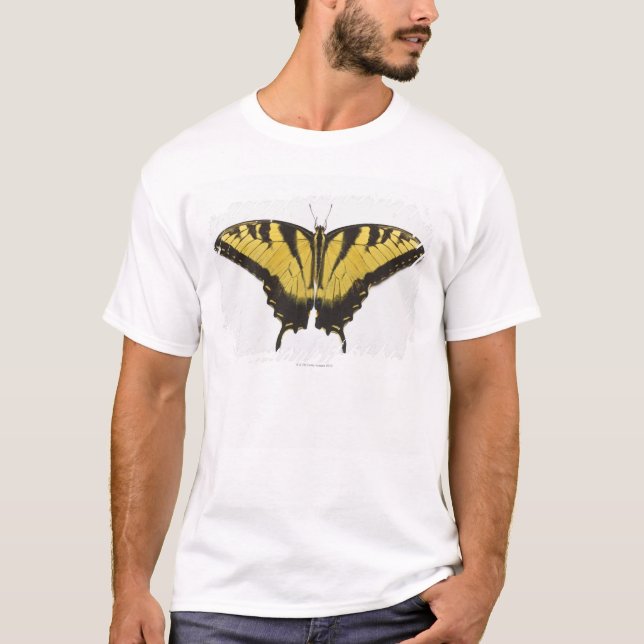 Western Tiger Swallowtail Butterfly T-Shirt (Front)
