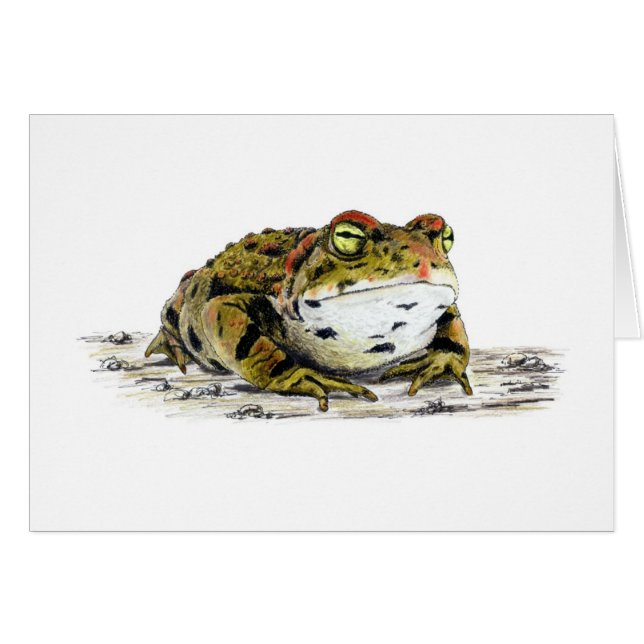 Western Toad Card (Front Horizontal)