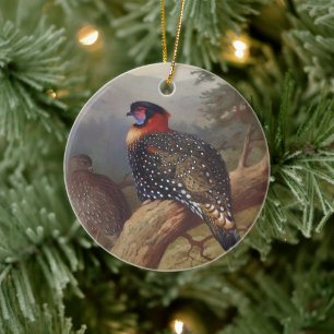 Western tragopan, Bird Illustrations Ceramic Tree Decoration