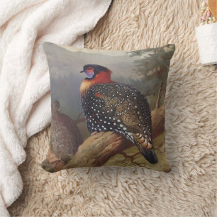 Western tragopan, Bird Illustrations Cushion
