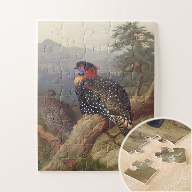 Western tragopan, Bird Illustrations Jigsaw Puzzle (Creator Uploaded)