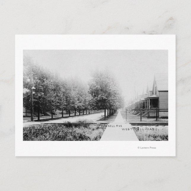 Western View of Parnell Avenue Postcard (Front)