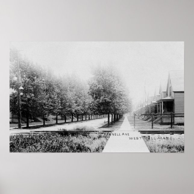 Western View of Parnell Avenue Poster (Front)