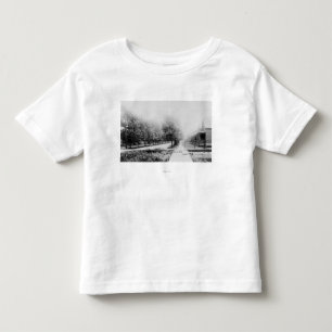Western View of Parnell Avenue Toddler T-Shirt