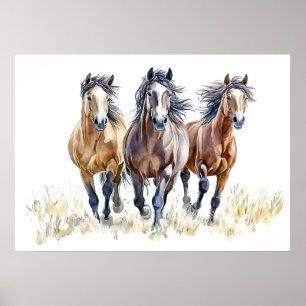 Western Wild & Free Mustang Horses Poster