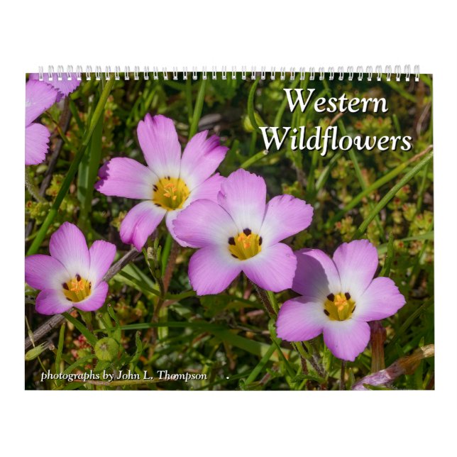 Western Wildflowers 2025 Calendar (Cover)