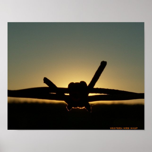 Western Wire Wasp Poster (Front)
