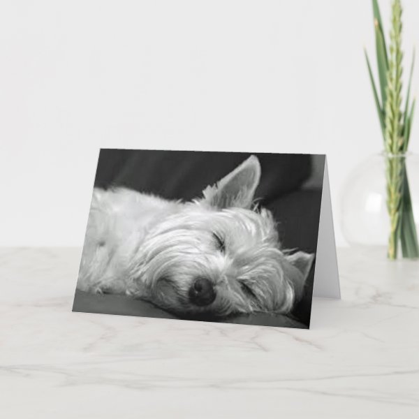 westie gift ideas