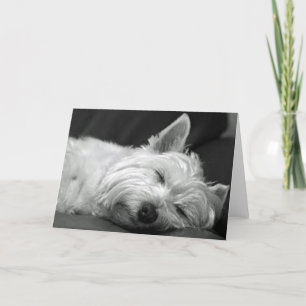 Westie Asleep Card