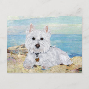 Westie at the Beach Postcard