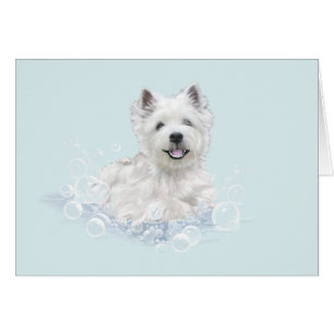 Westie Bath Time Fun