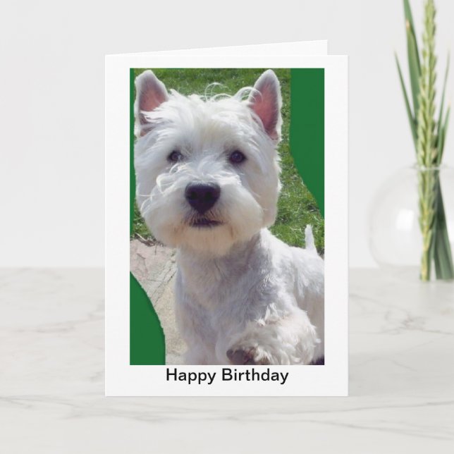 Westie Birthday Card Greetings Card paw up 'Hello' (Front)