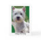 Westie Birthday Card Greetings Card paw up 'Hello'