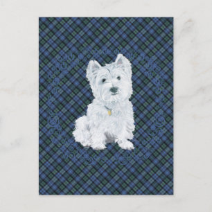 Westie Black Watch Tartan Postcard