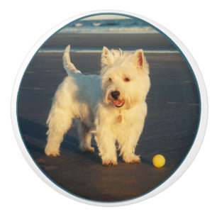 Westie Ceramic Knob