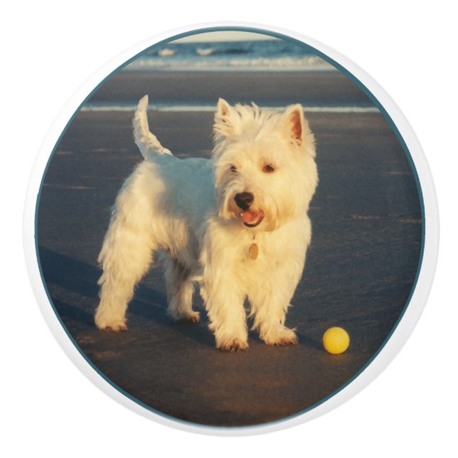 Westie Ceramic Knob (Front)