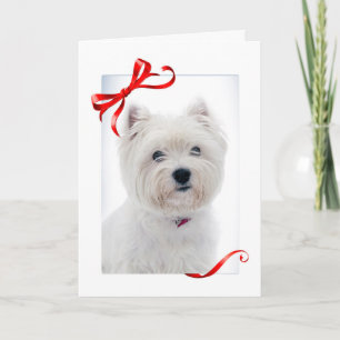 Westie Christmas Card