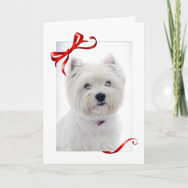 Westie Christmas Card (Front)