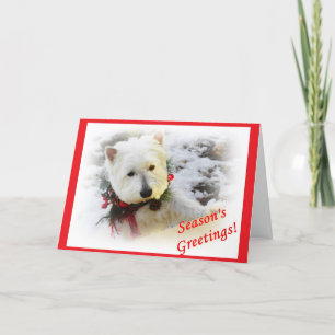 Westie Christmas Card