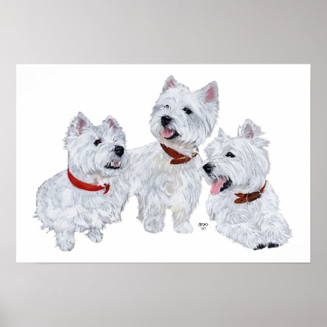 Westie Conference Poster (Front)