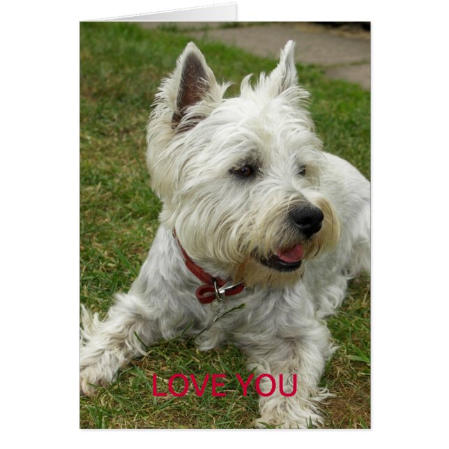 Westie Dog Card (Front)