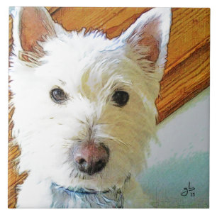 Westie Dog Face, Looking at You Tile