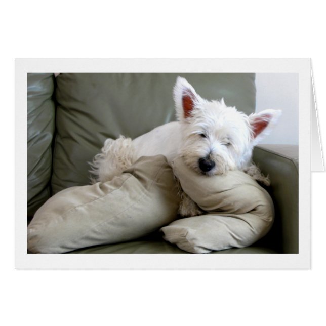 Westie Dog So Comfy and Cosy Blank Card (Front Horizontal)