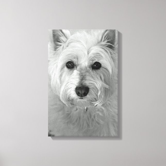Westie Dog (West Highland White Terrier) Canvas Print (Front)