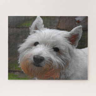 Westie Dogs Jigsaws. Jigsaw Puzzle
