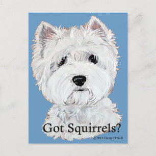 Westie Got Squirrels? Postcard