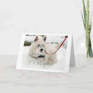 Westie greetings card annithankyou get w etc.