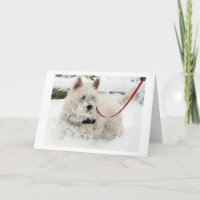 Westie greetings card birthday thankyou get w etc.