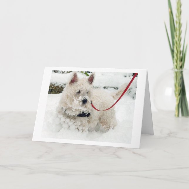 Westie greetings card birthday thankyou get w etc. (Front)