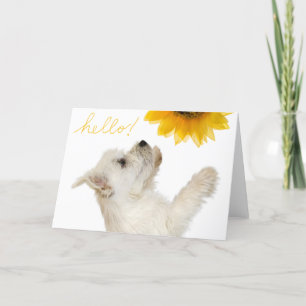 Westie Hello Blank Notecard