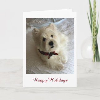 Westie Holiday