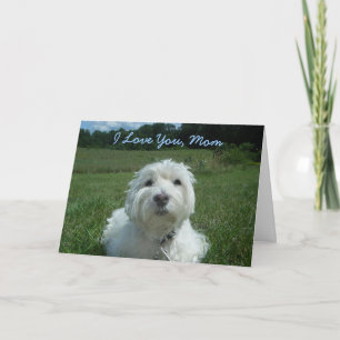 Westie I Love You Mum Happy Mother's Day Card