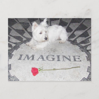 Westie Imagines World Peace Postcard