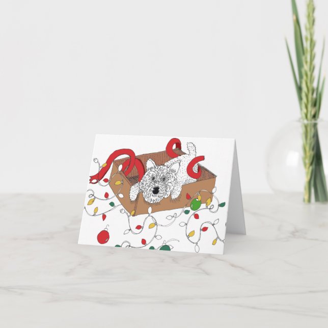 Westie in Ornament Box Holiday Card (Front)