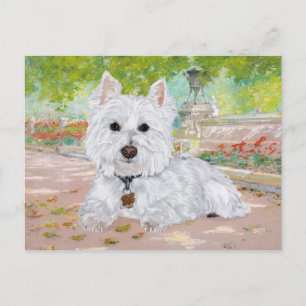 Westie in the Park Postcard