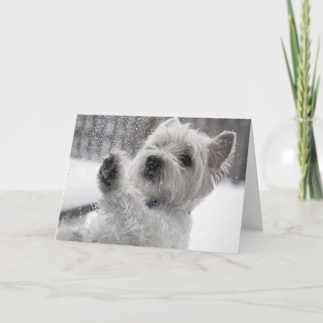 Westie in the Rain Card (Front)