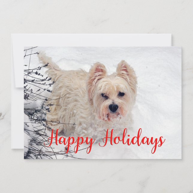 Westie in the Snow Happy Holidays Card (Front)