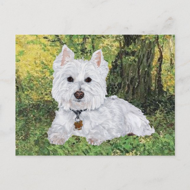 Westie in the Yellow Woods Postcard (Front)