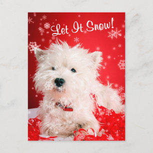 Westie Let It Snow Greeting #2 Holiday Postcard