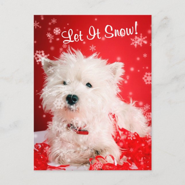 Westie Let It Snow Greeting #2 Holiday Postcard (Front)