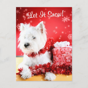 Westie Let It Snow Greeting #3 Holiday Postcard