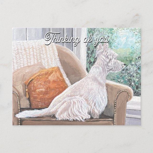 Westie Looking Out a Window Postcard (Front)
