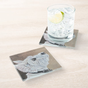 Westie Looking Up Profile B Glass Coaster